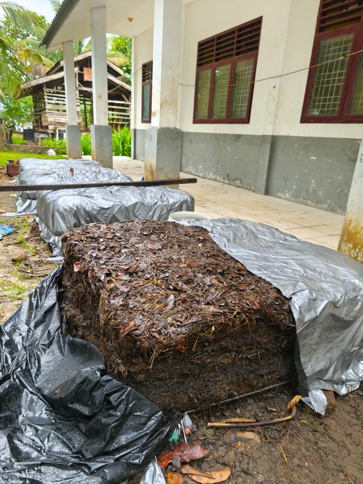 Projek P5: Siswa Olah Limbah Pelepah Sawit Menjadi Kompos