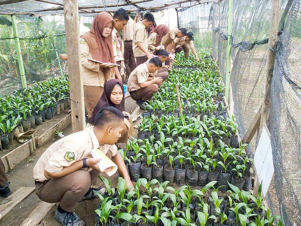 Pembibitan Pre Nursery