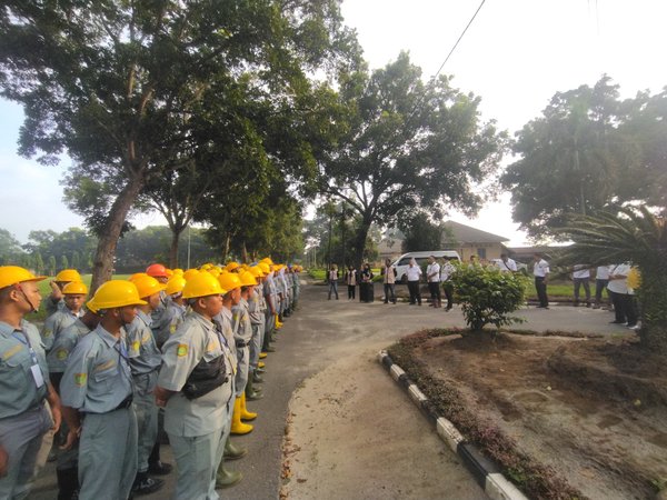 Agribisnis Tanaman Perkebunan